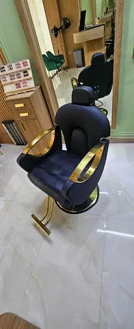 Professional Salon Chair