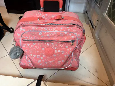 Pink Heart Pattern Carry-On Rolling Travel Bag with Retractable Handle