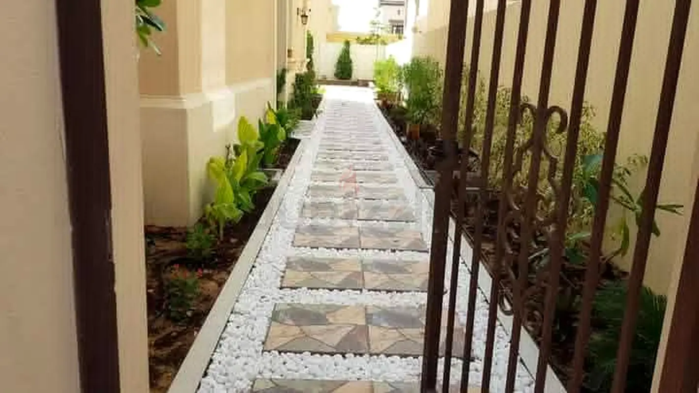 DPV_View_Image_4