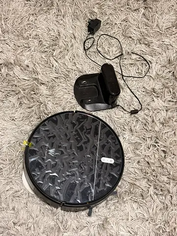 Robot cleaner