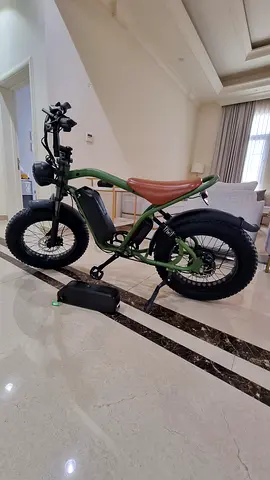 Electric bike