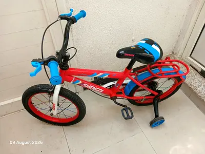 Shengdi Red Kids Bicycle with Training Wheels