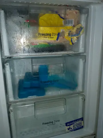 LG REFRIGERATOR MADE IN POLDAND