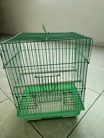 Medium green bird cage with perches and removable tray