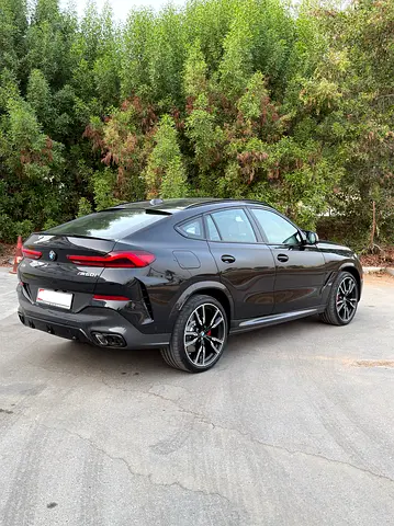 صورة مصغرة 9 لـ 2026 BMW X6