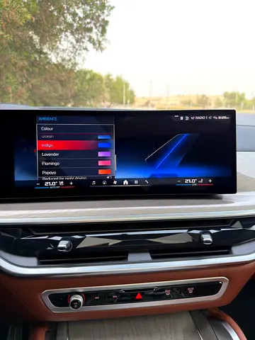صورة مصغرة 17 لـ 2026 BMW X6