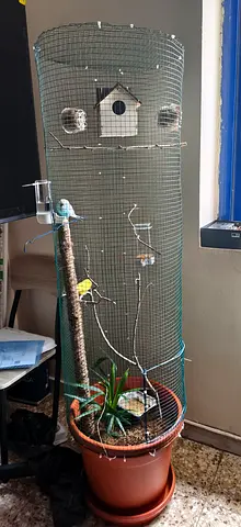 Tall cylindrical bird aviary with nest box and perches