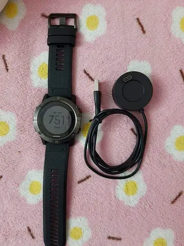 Garmin Fenix 5X