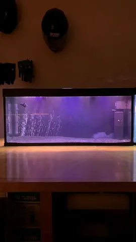 100cm/1Meter Aquarium fishtank (BRAND NEW)