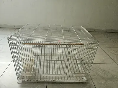 White metal bird cage with removable tray and feeders