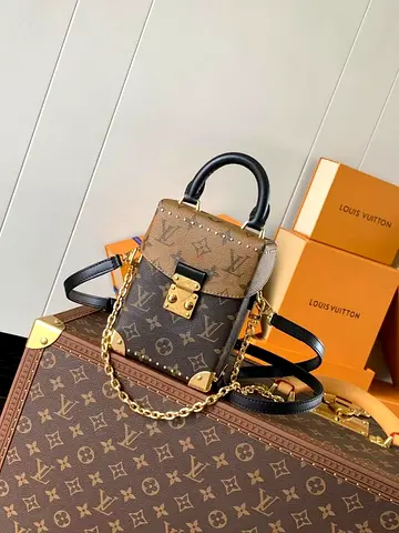 Louis vuitton camera box bag