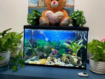 Aquarium