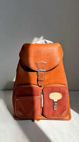 Louis vuitton montsouris cargo