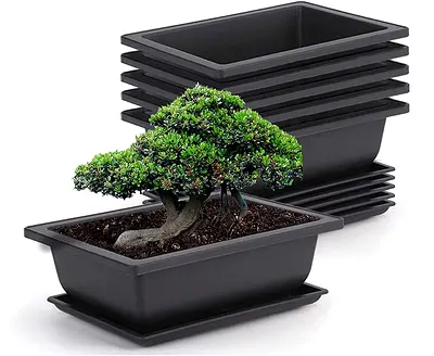 DELFINO 6 Packs 9 Inches Plant Pots Bonsai Succulents