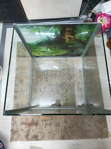 Fish tank aquarium
