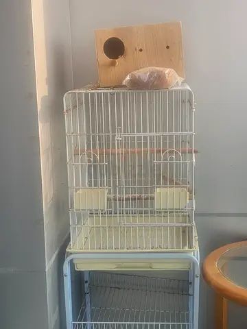 bird cage with bird nest and ash and stand