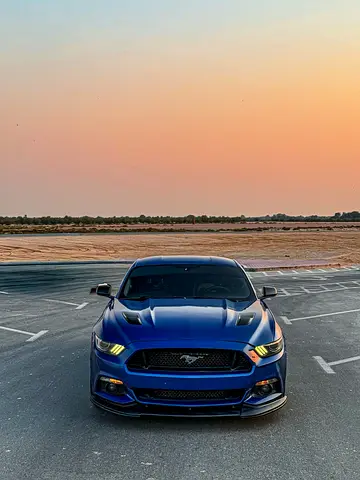 2017 FORD MUSTANG 照片 1