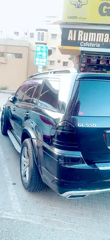 2008 Mercedes-BENZ GL 照片 2
