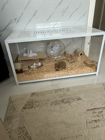 Bucatstate Hamster Cage and Accessories