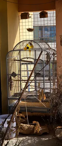 Large metal bird cage with stand and accessories