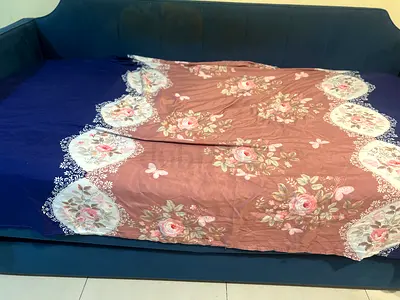 Free Sofa bed with pull out bed for sale .
