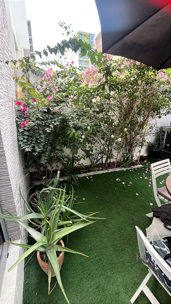 DPV_View_Image_7