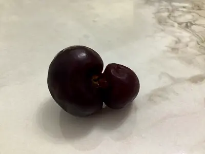 Double Cherry Collectible very rare one of a kind