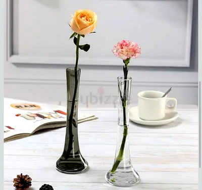 Glass for plants flowers