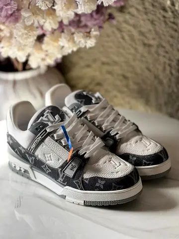 Louis vuitton LV trainer sneakers