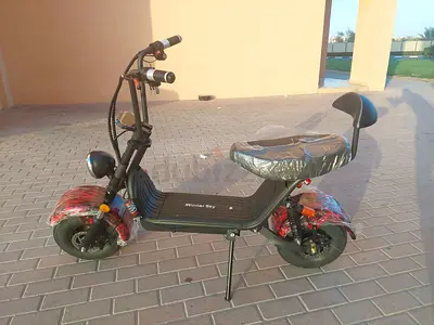 Fat tyre scooter 48 v