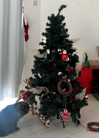 5ft Artificial Christmas Tree – Good Condition | AED 30 Bargain