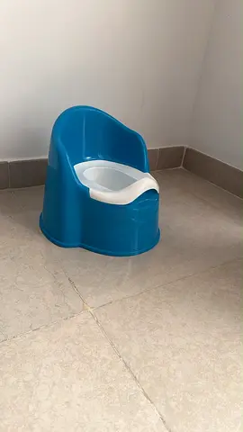 Simple Blue Toddler Potty Seat - Clean and Ready to Use
