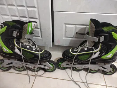 Skates shows