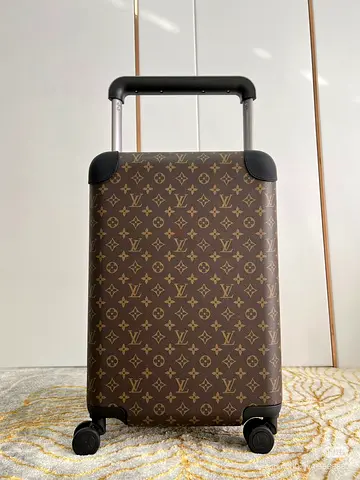 Louis vuitton Horizon 55 suitcase