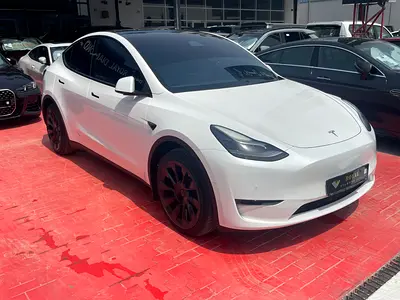 2022 Tesla MODEL Y photo 3