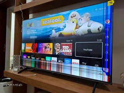 Hisense 50A61N 50-inch. LCD panel is broken, but the TV is working. Main board, power board, speaker
