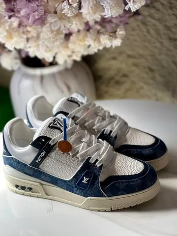 Louis vuitton LV trainer sneakers