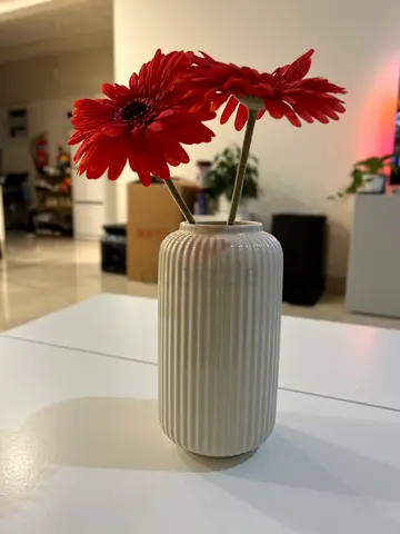 IKEA Flower Vase (STILREN) with 2 Artifical Flowers (GULDSPETT)