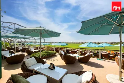 Live the Polo Lifestyle, Polo view