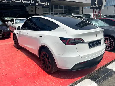 2022 Tesla MODEL Y photo 6