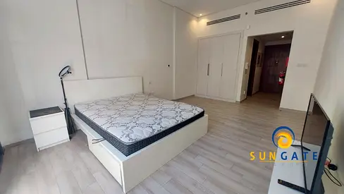 opposite the park , furnished , vacant now