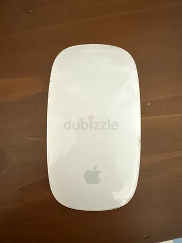Apple Magic Mouse - Wireless