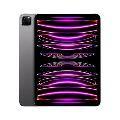 Apple iPad Pro 11 inch (4th Gen) - M2 Chip - WiFi - 128GB - Space Grey, A2759