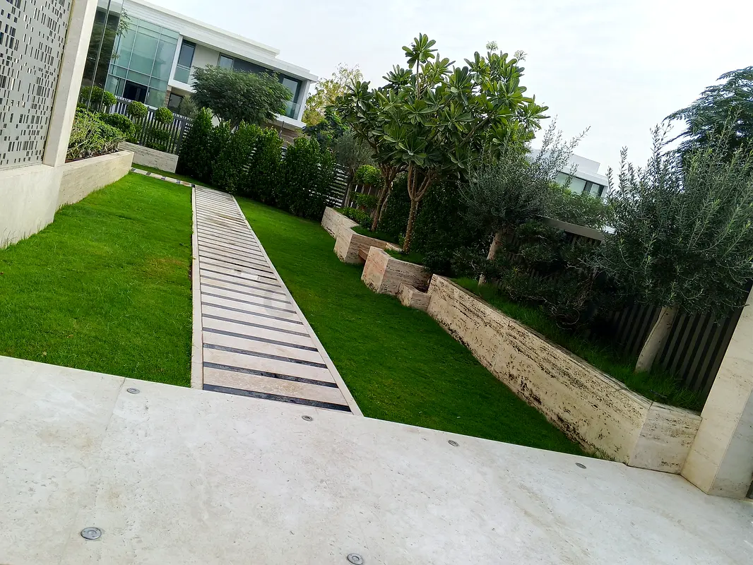 DPV_View_Image_6