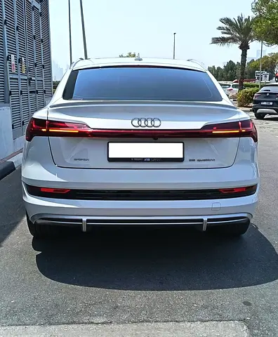 2020 AUDI E-TRON 照片 2