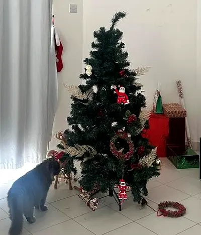 5ft Artificial Christmas Tree – Good Condition | AED 30 Bargain!