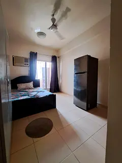 Fully furnished private room for single INDIAN working lady or bachelor