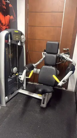 Technogym Delts Machine