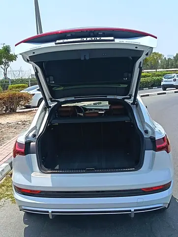 2020 AUDI E-TRON 照片 4