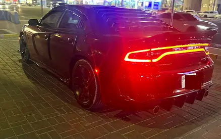 2018 Dodge CHARGER 照片 15